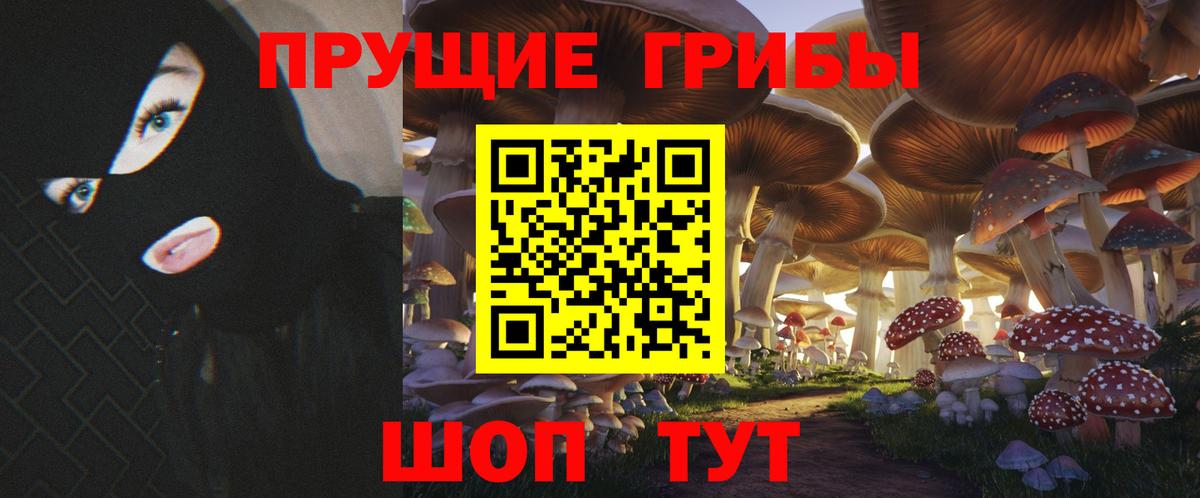 Галлюциногенные грибы мухоморы  Вход с VPN  Псилоцибиновые грибы мицелий  Острогожск 