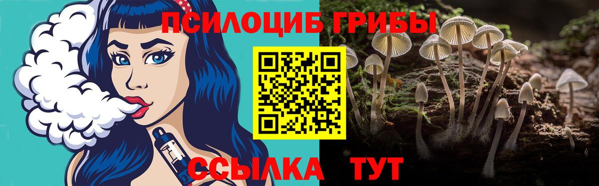 Псилоцибиновые грибы Psilocybe Острогожск